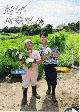城市漫游者 综艺海报