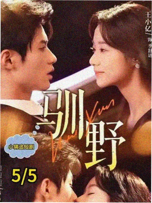 潮汐来信 热播剧集海报